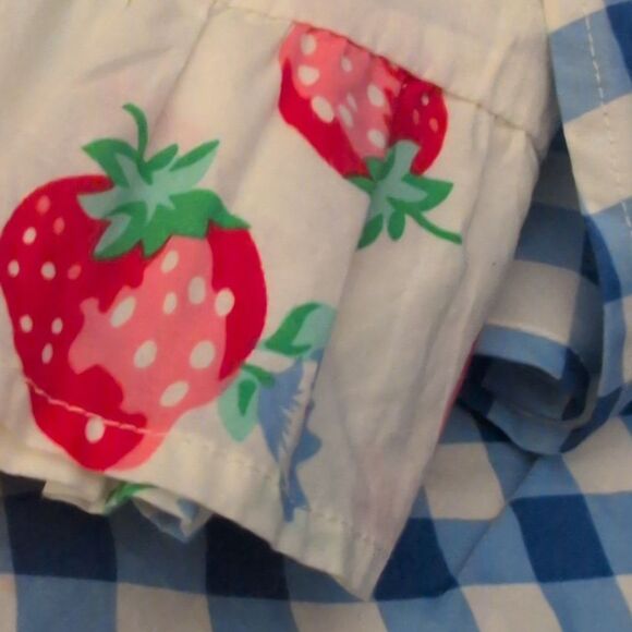 Matilda Jane Dutch Apple Skirt Large Blue Check Embroidered Strawberry Women's S - Picture 9 of 10